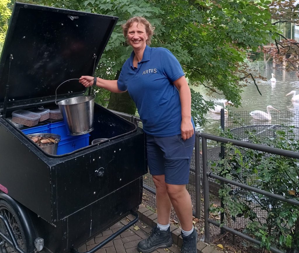 Vrouw met emmer bij elektrische cargobike